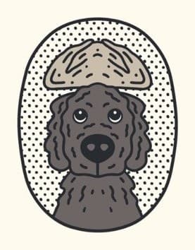 Griswold Sourdough Co. logo